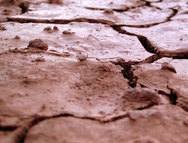Dry Expansive Clay - Expansive Soil 